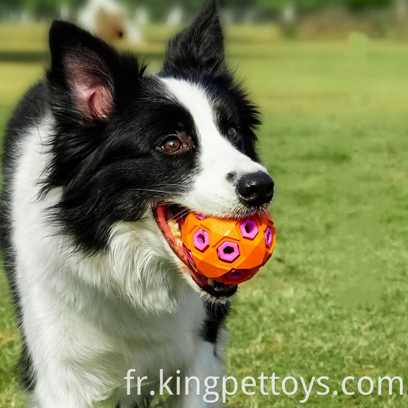 Durable Rubber Chew Toy 